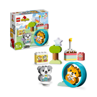 Mijn eerste Puppy en Kitten met geluid 10977